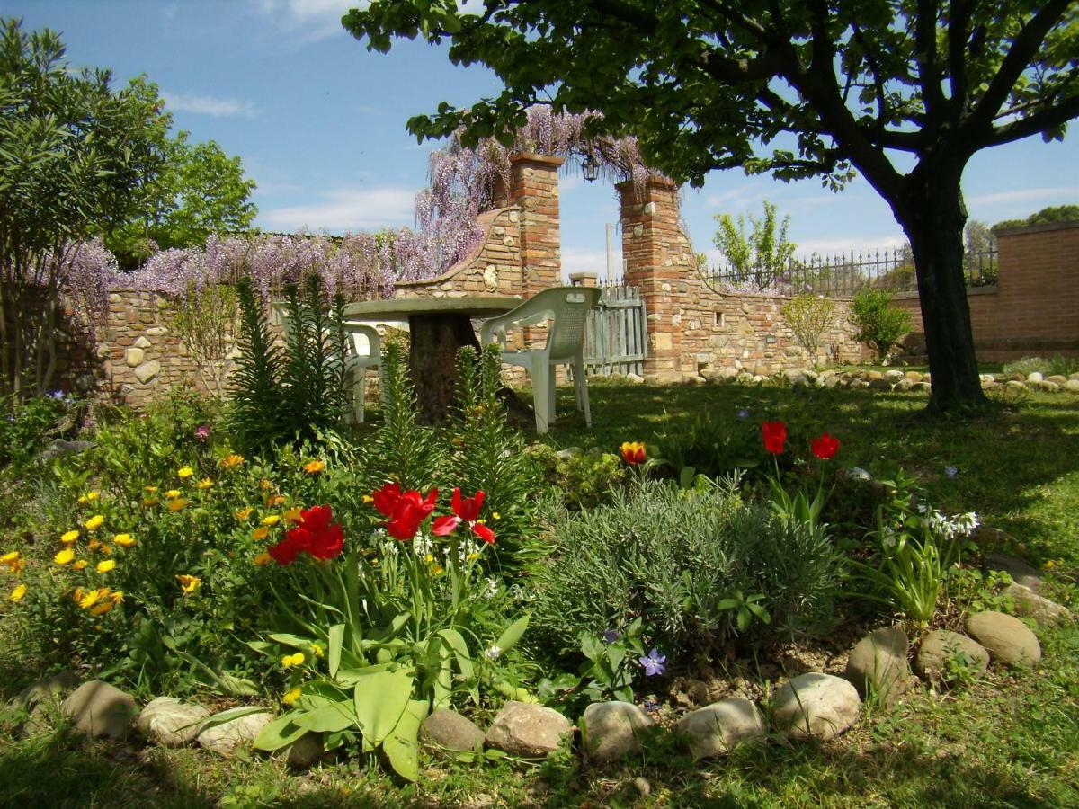 B&B Il Poggetto Montespertoli Exterior photo