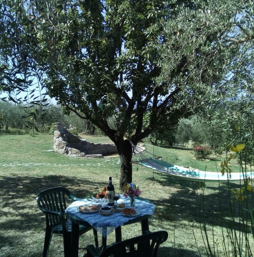 B&B Il Poggetto Montespertoli Exterior photo